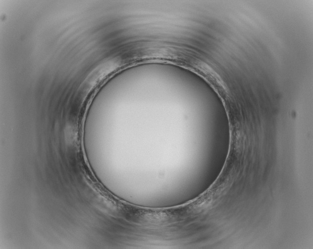 X0000089930882200706291155