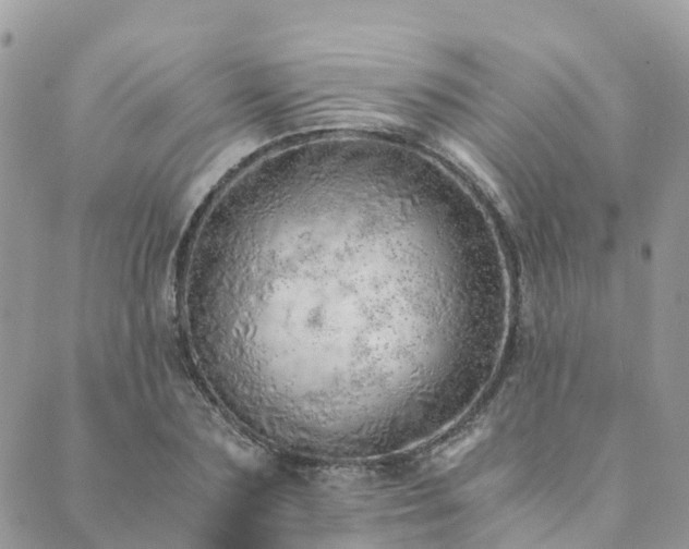 X0000089930883200706291155