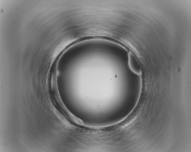 X0000089930885200706291155