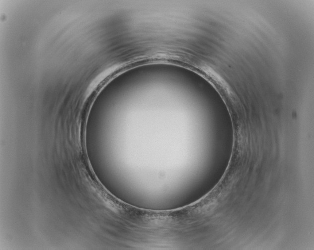 X0000089930886200706291155