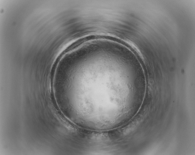 X0000089930887200706291155