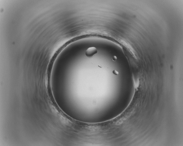 X0000089930888200706291155