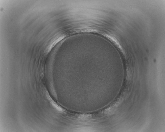 X0000089930889200706291155