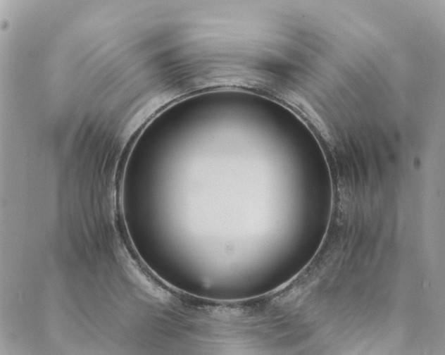 X0000089930890200706291155