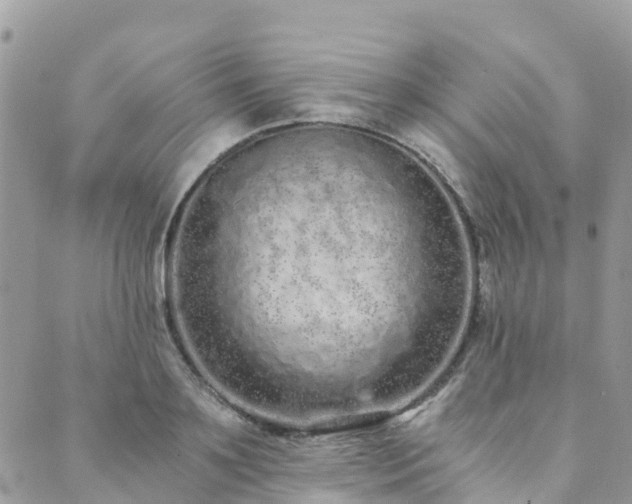 X0000089930891200706291155