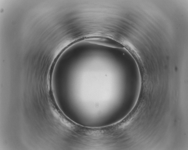 X0000089930892200706291155