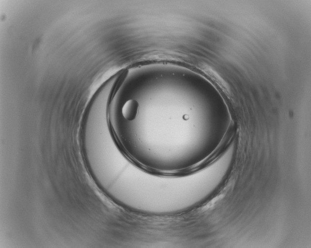 X0000089930893200706291155