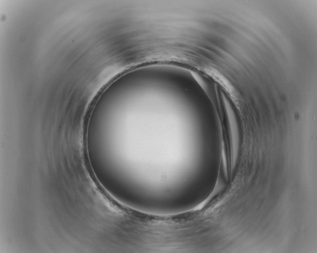 X0000089930894200706291155