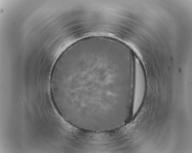 X0000089930895200706291155