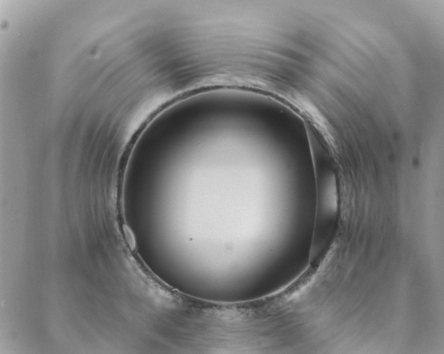 X0000089930896200706291155