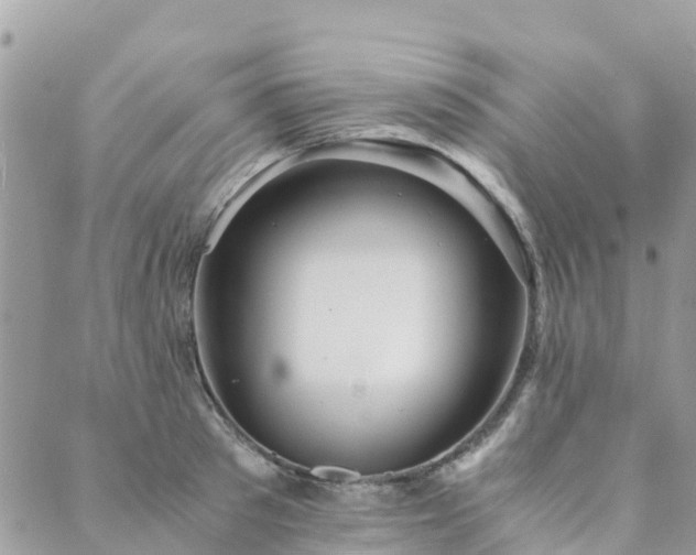 X0000089930897200706291155