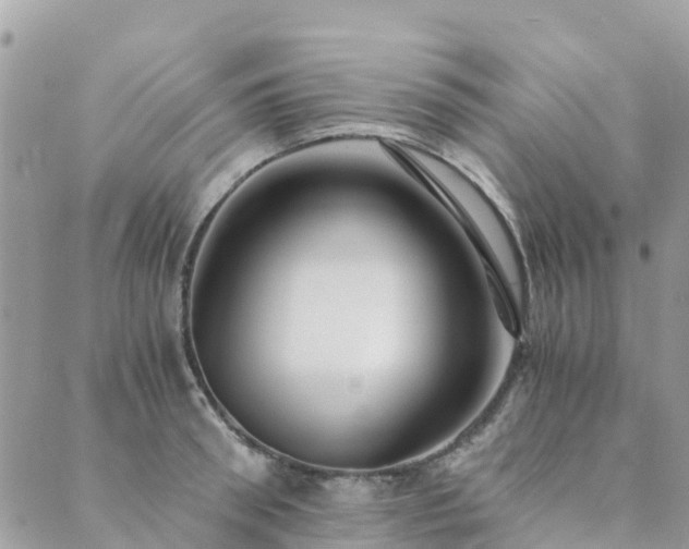 X0000089930898200706291155