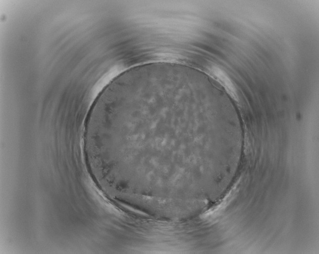 X0000089930899200706291155