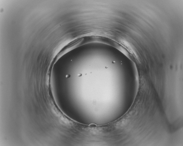 X0000089930900200706291155