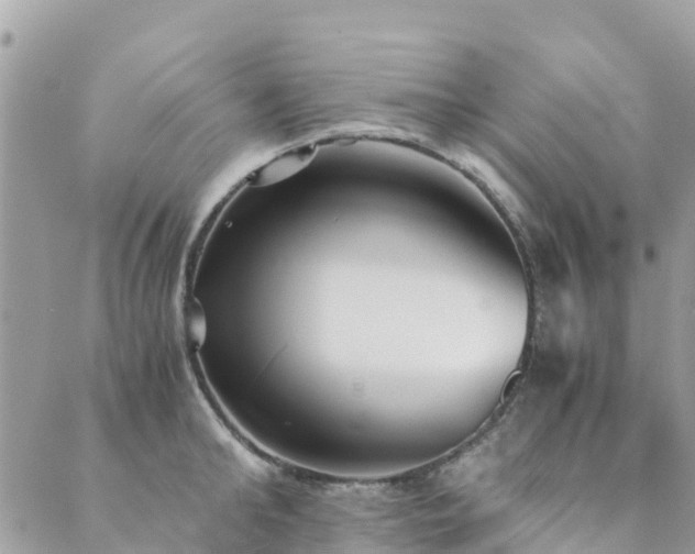 X0000089930902200706291154