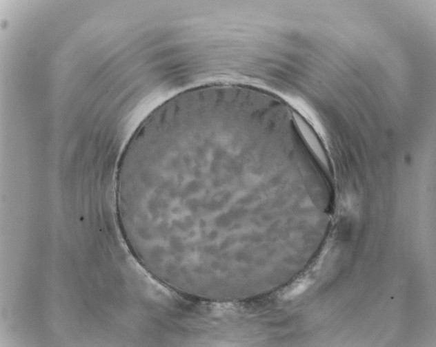 X0000089930903200706291154