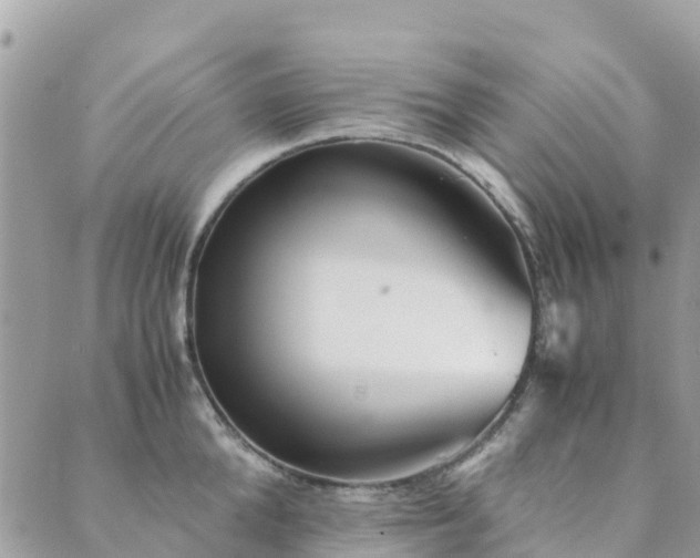 X0000089930904200706291154