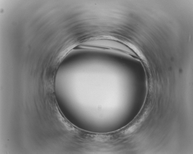 X0000089930905200706291154