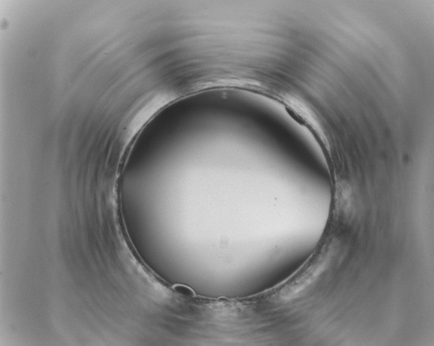 X0000089930906200706291154