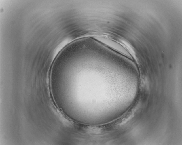 X0000089930907200706291154