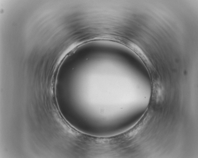 X0000089930908200706291154