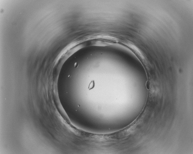 X0000089930910200706291154