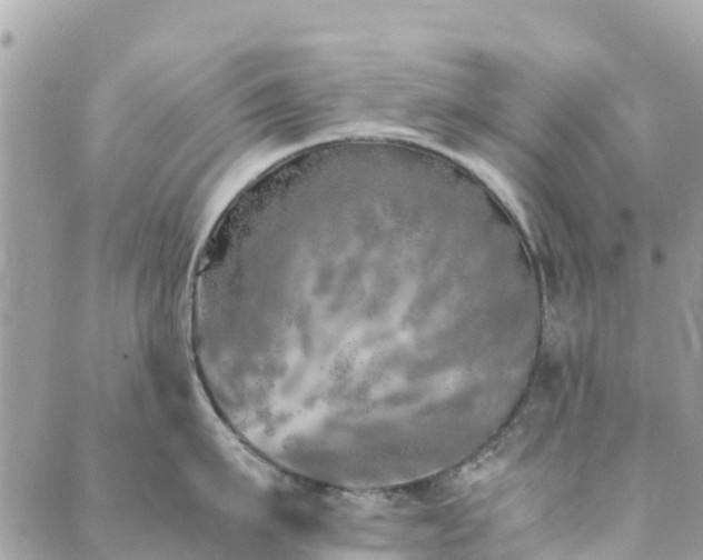 X0000089930911200706291154