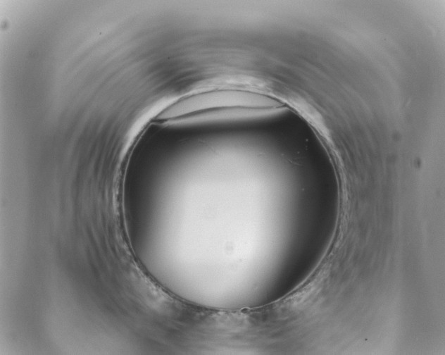 X0000089930912200706291154