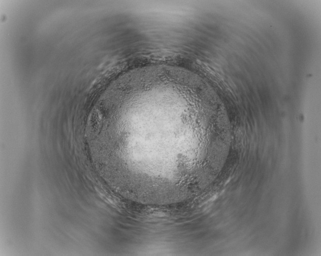 X0000089930913200706291154