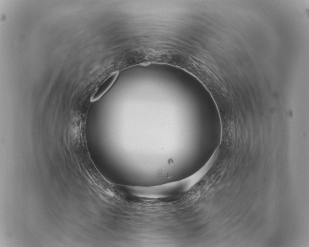 X0000089930914200706291154