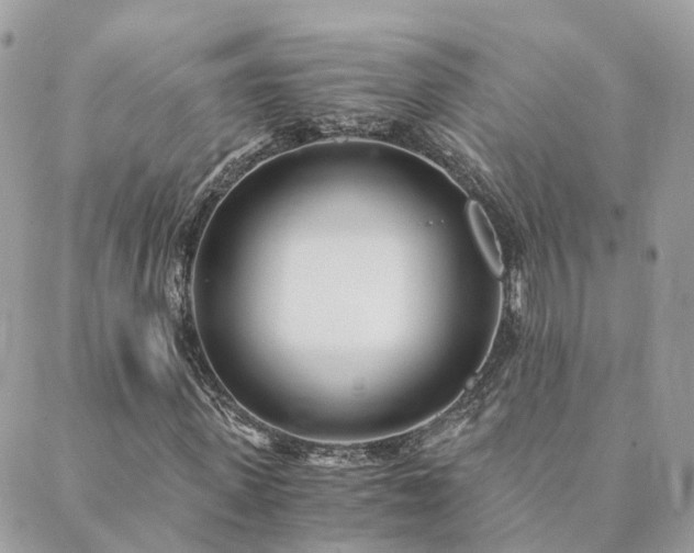 X0000089930915200706291154