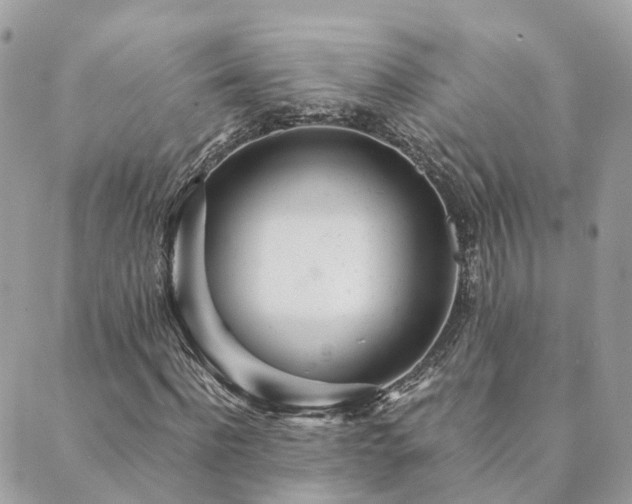 X0000089930916200706291154