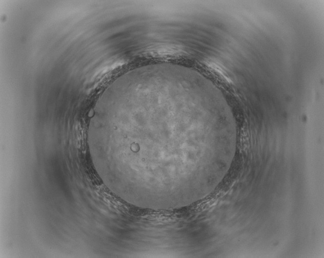 X0000089930917200706291154