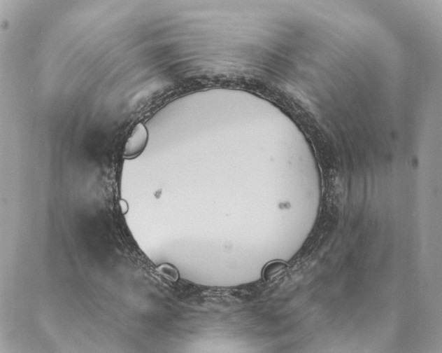 X0000089930918200706291154