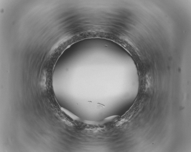 X0000089930919200706291154