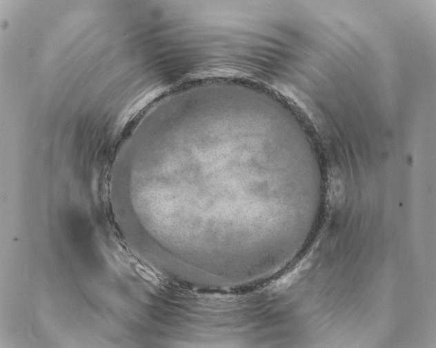 X0000089930921200706291154