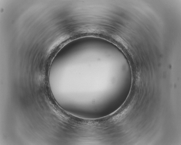 X0000089930922200706291154