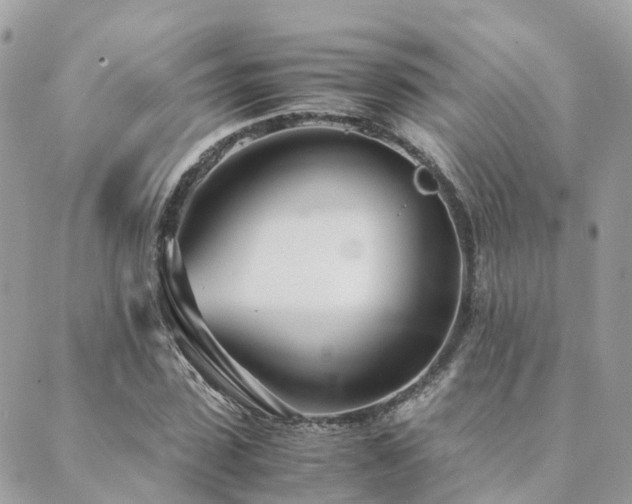 X0000089930923200706291154