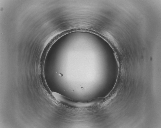 X0000089930924200706291154