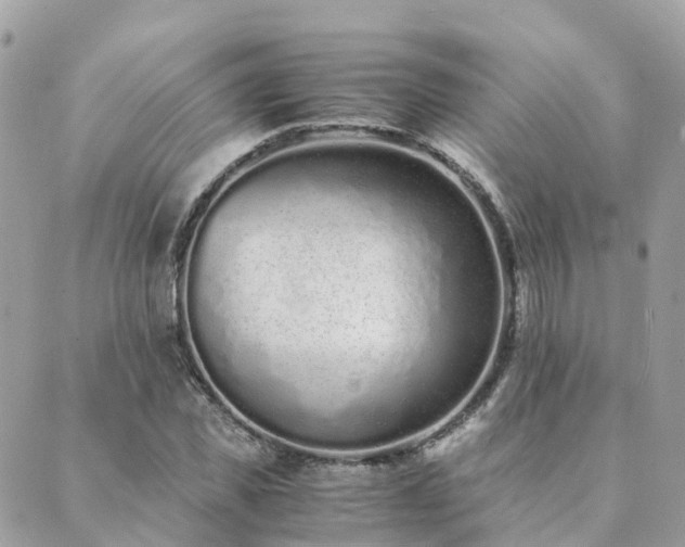 X0000089930925200706291154