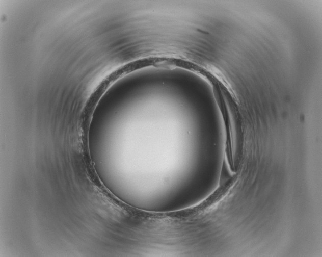 X0000089930926200706291154