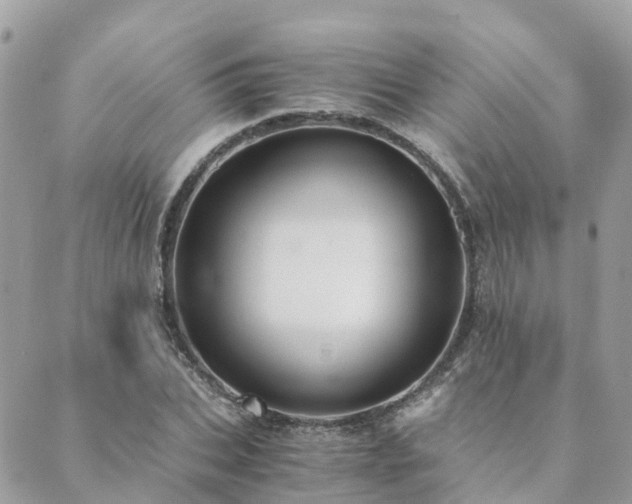 X0000089930927200706291154