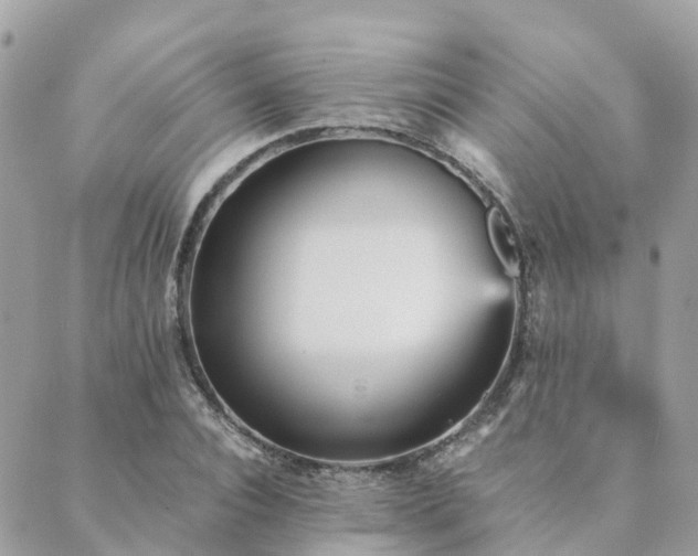 X0000089930928200706291154