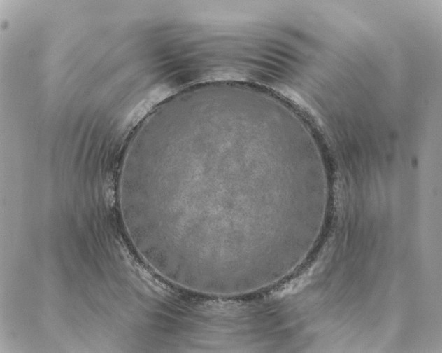 X0000089930929200706291154