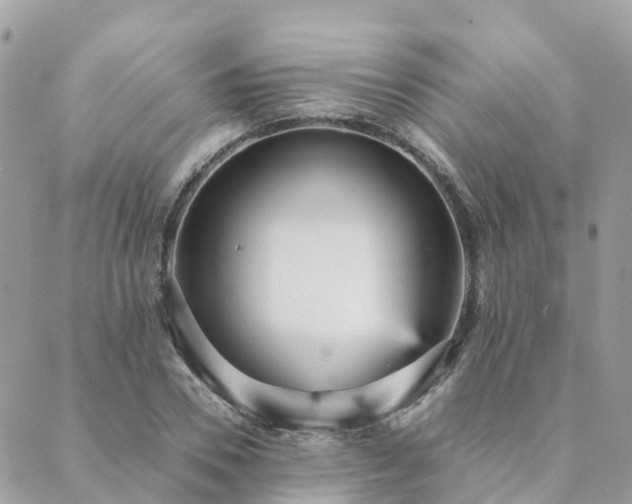 X0000089930930200706291154