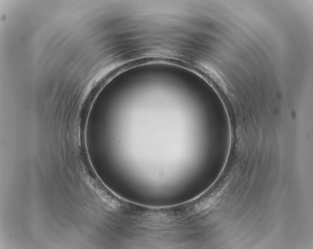 X0000089930931200706291154