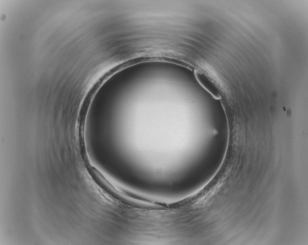 X0000089930932200706291154