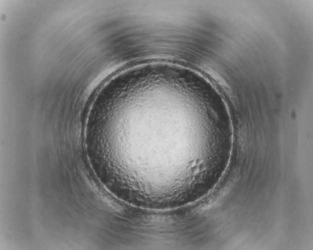 X0000089930933200706291154