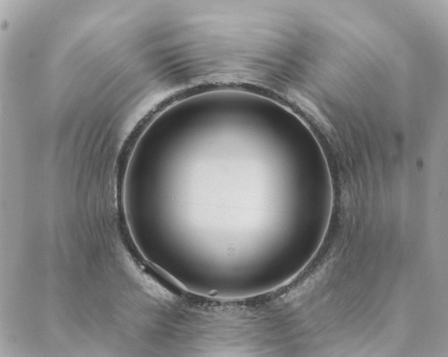 X0000089930934200706291154