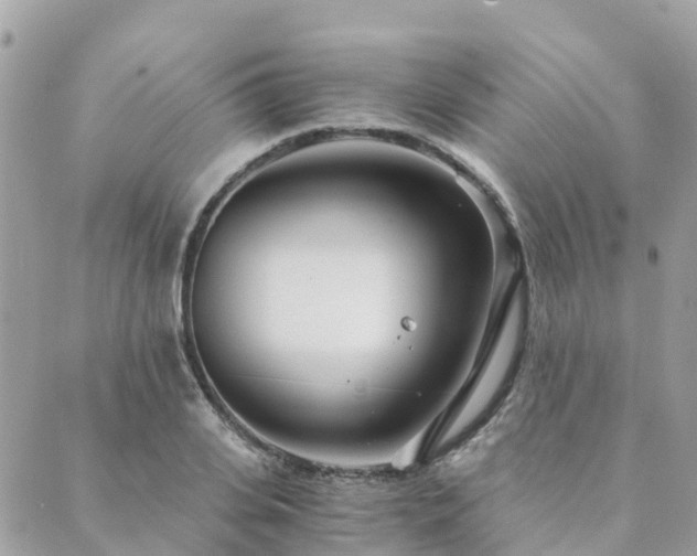 X0000089930935200706291154